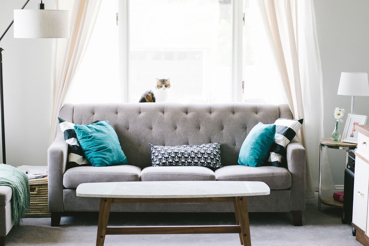 Custom Sofa & Upholstery Work